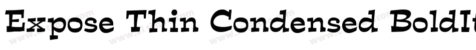 Expose Thin Condensed BoldItalic字体转换